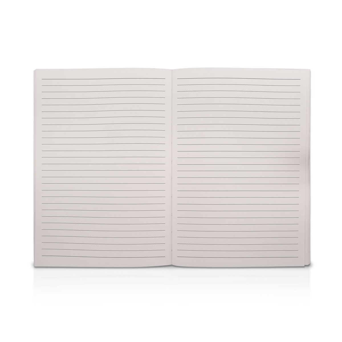 Journal Insert