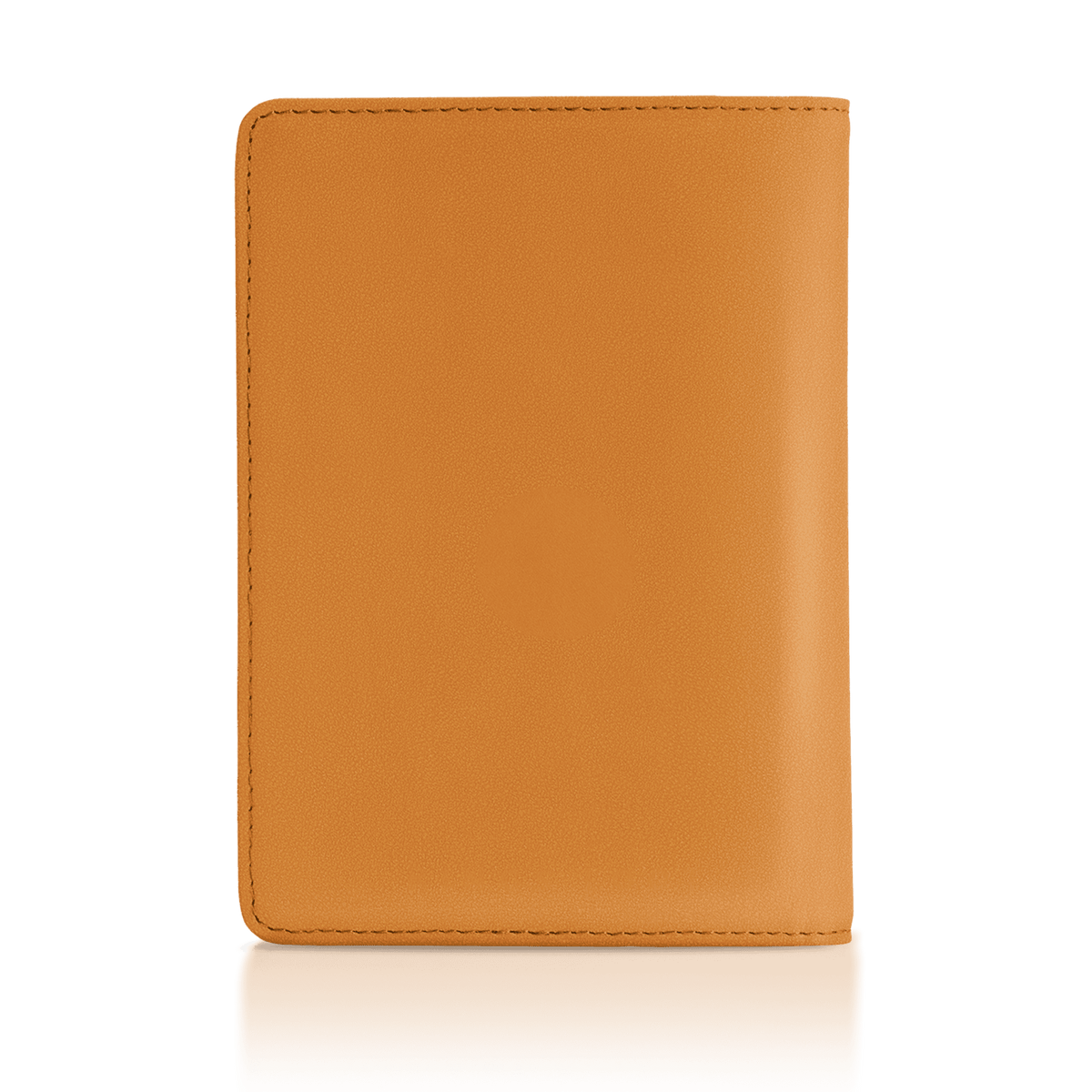 Passport Wallet