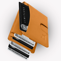 Mystery Wallet